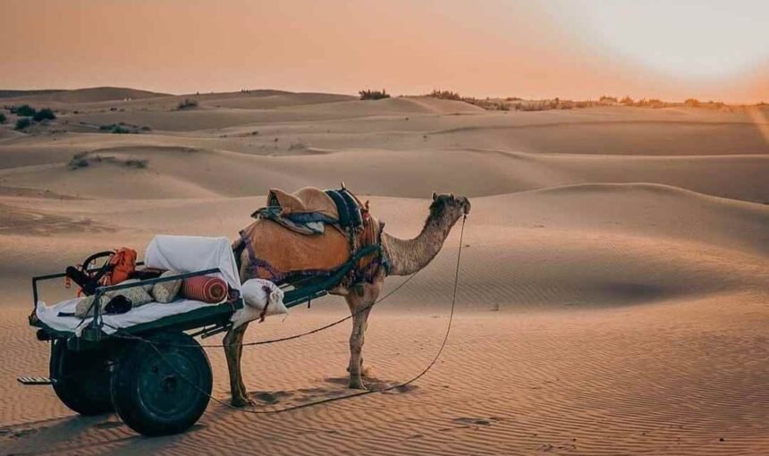 Best Time to Visit India : A Month-by-Month Guide to Discovering India’s Beauty 2025 -26