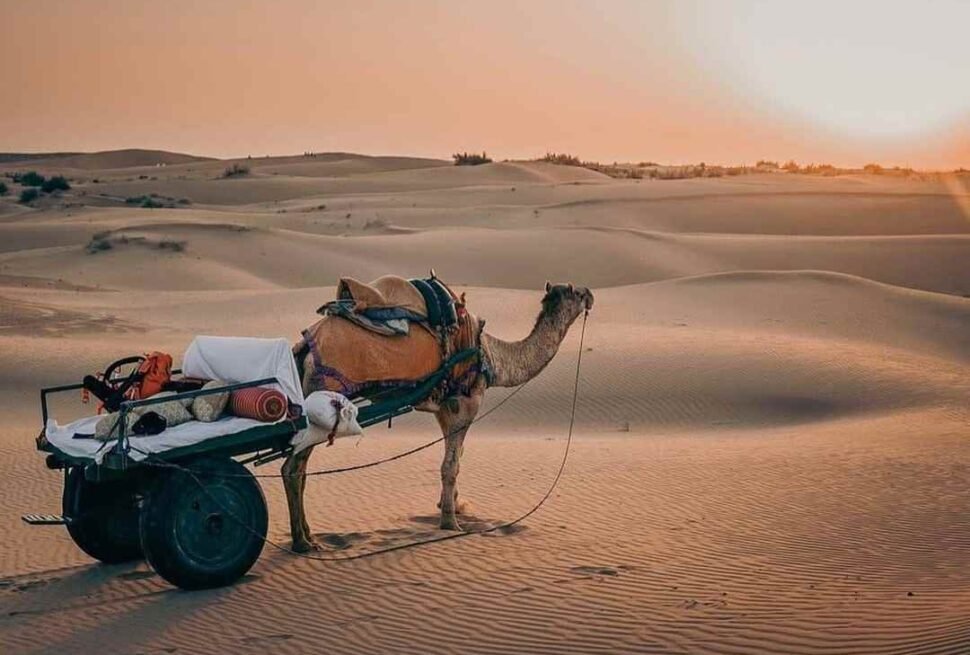 Best Time to Visit India