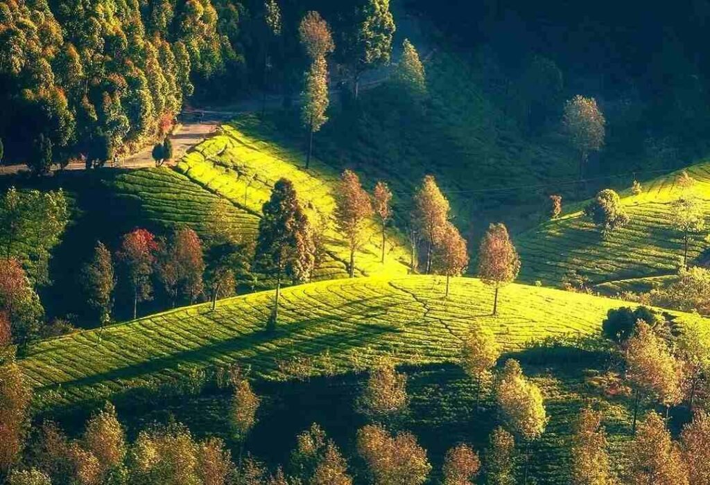 Best Time to Visit India by Season