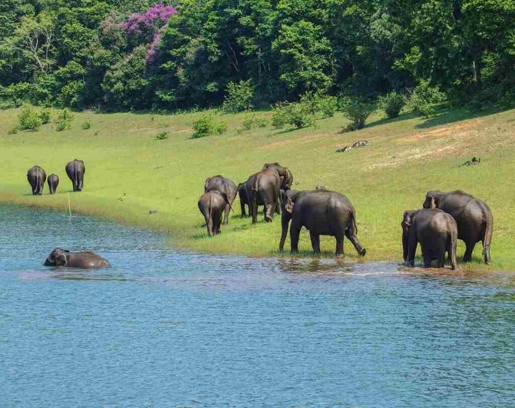 Kerala & Madurai Luxury Tour