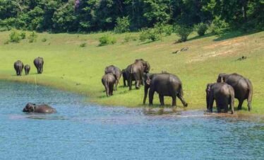 Kerala & Madurai Luxury Tour