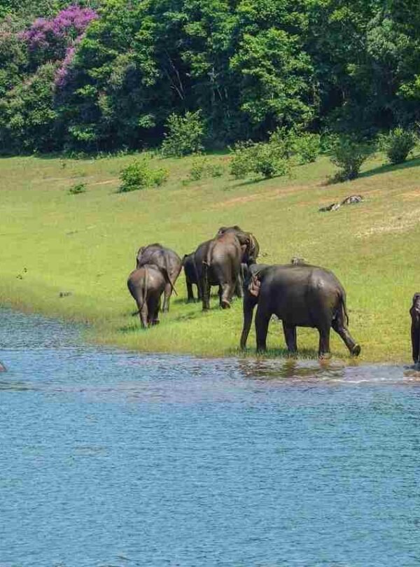 Kerala & Madurai Luxury Tour