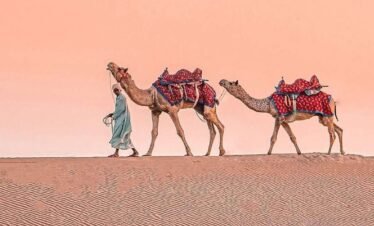 Royal Rajasthan Tour