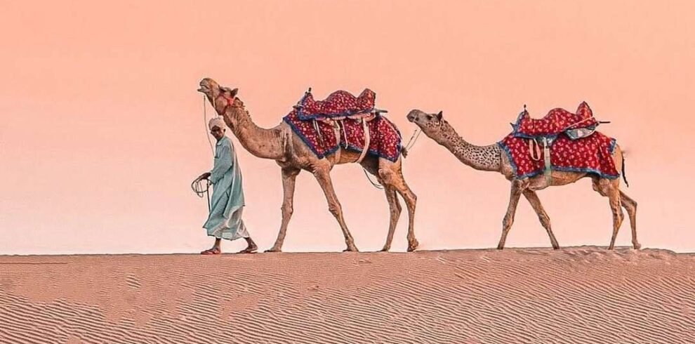 Royal Rajasthan Tour