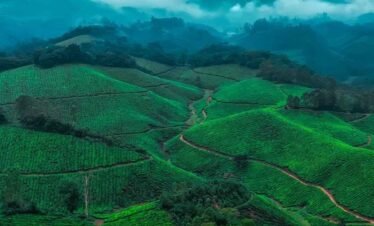 kerala-tour-journey-through-gods-own-country