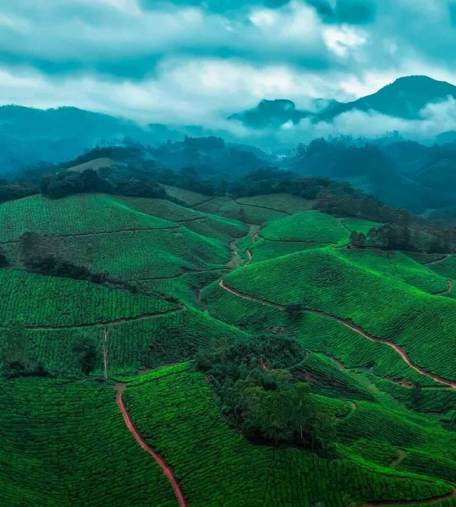 kerala-tour-journey-through-gods-own-country