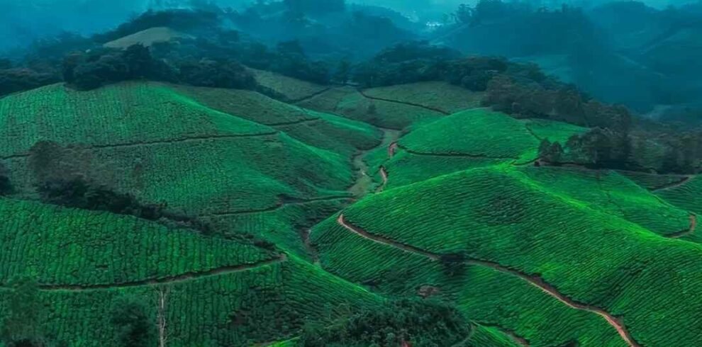 kerala-tour-journey-through-gods-own-country
