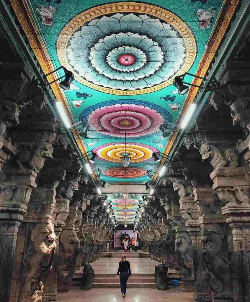 Southern Splendors A Journey Through Tamil Nadu & Kerala