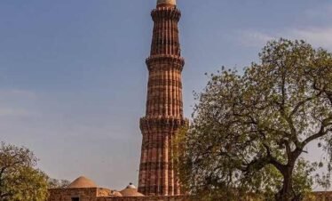 Majestic India Tours