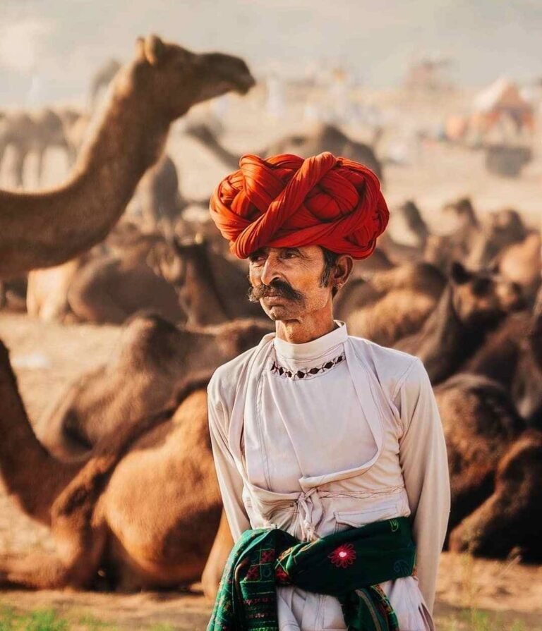 India Tour India Tourism