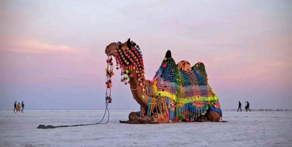 Gujarat Rann Utsav cultural India experience